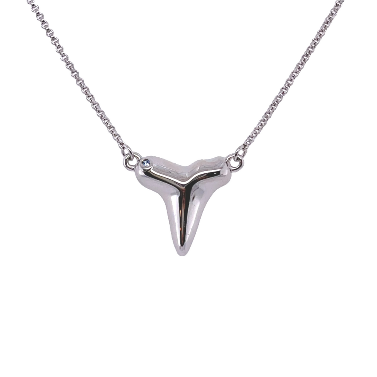 ☆BTS着用☆関税込★PORTRAIT REPORT★“Shark Tooth” Necklace 1238a - Shark Tooth Necklace – Elizabeth Sarah Collections