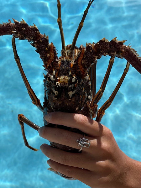 Ladies Lobster Ring