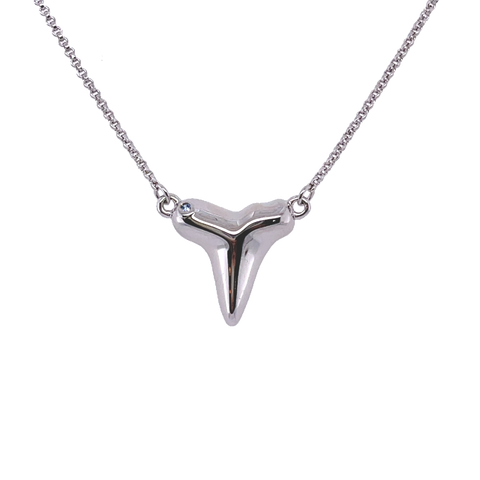Sharks Tooth Necklace