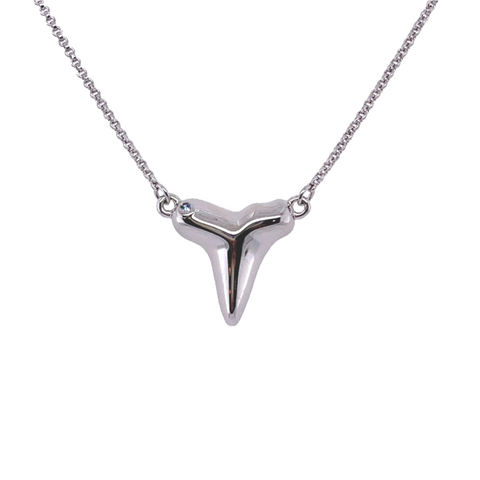 Sharks Tooth Necklace